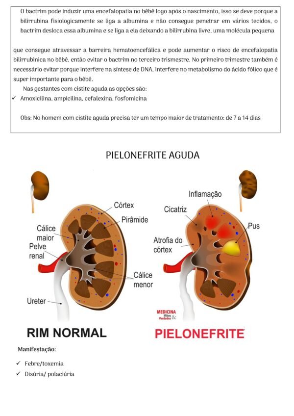 Ebook Entenda os Antibióticos - Image 4