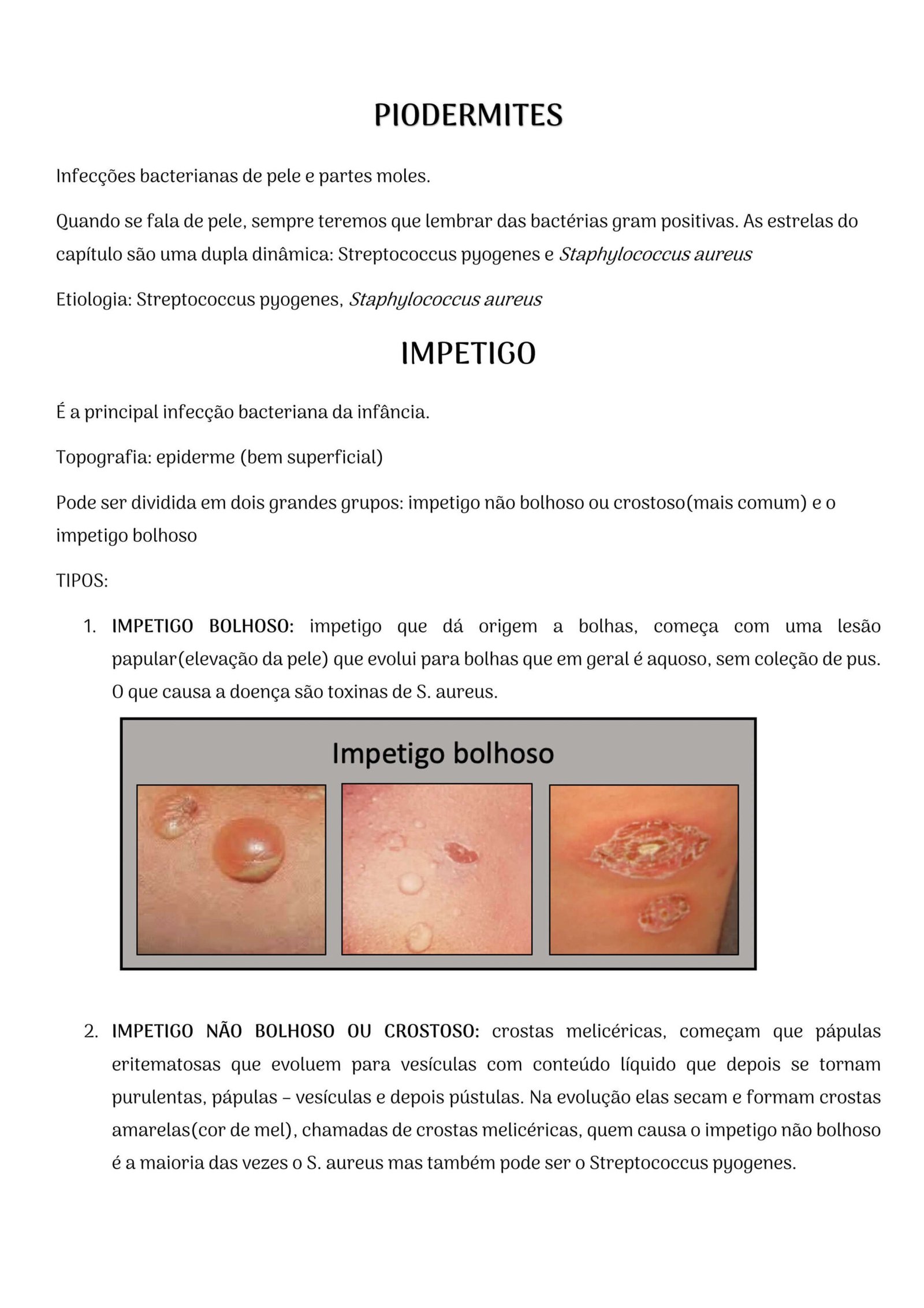 Ebook Entenda os Antibióticos - Imagem 5