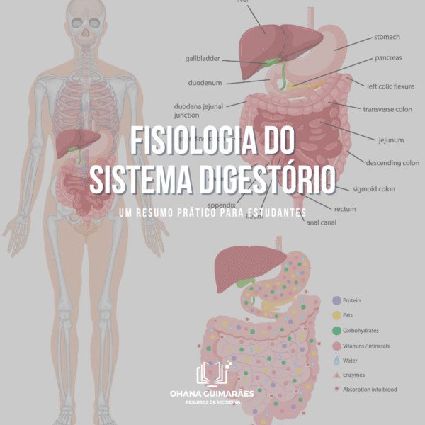 Fisiologia do Sistema Digestório