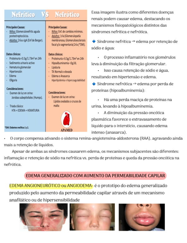 Fisiopatologia P1 - Image 4