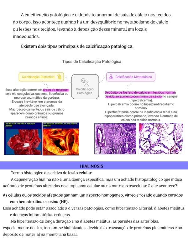 Anatomia Patológica - Image 4