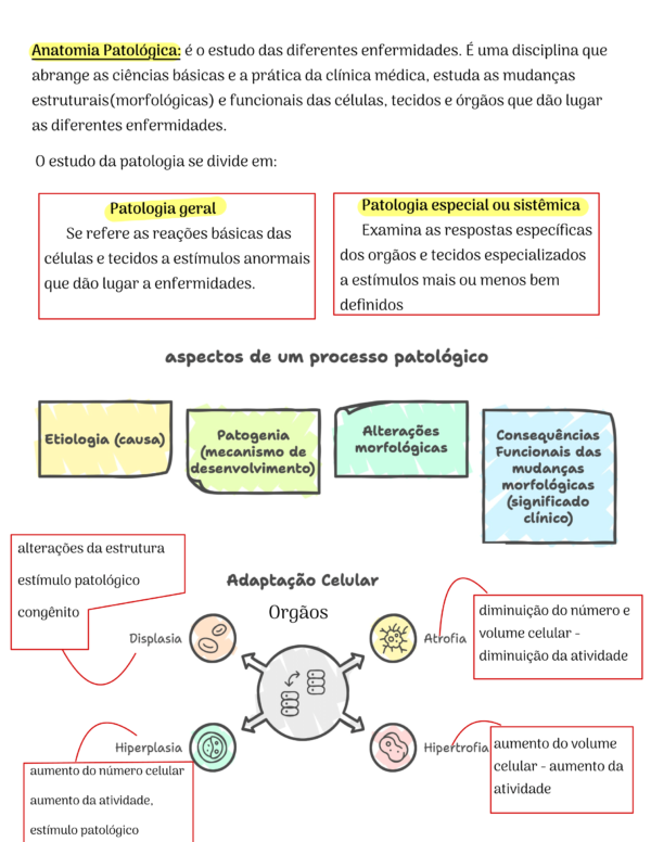 Anatomia Patológica - Image 2