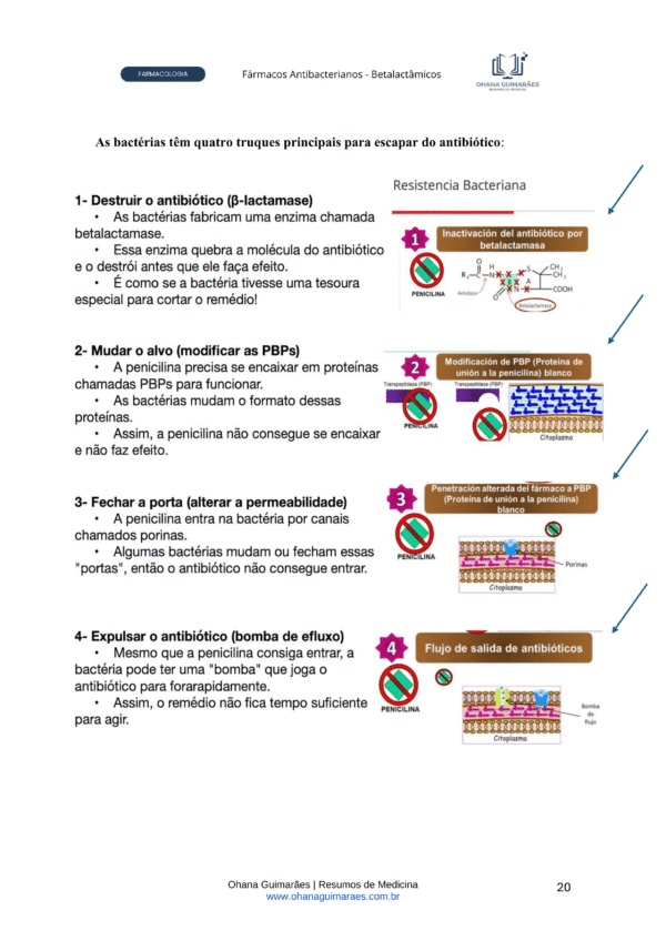Farmacologia - Fármacos Antibacterianos P2 - Image 2