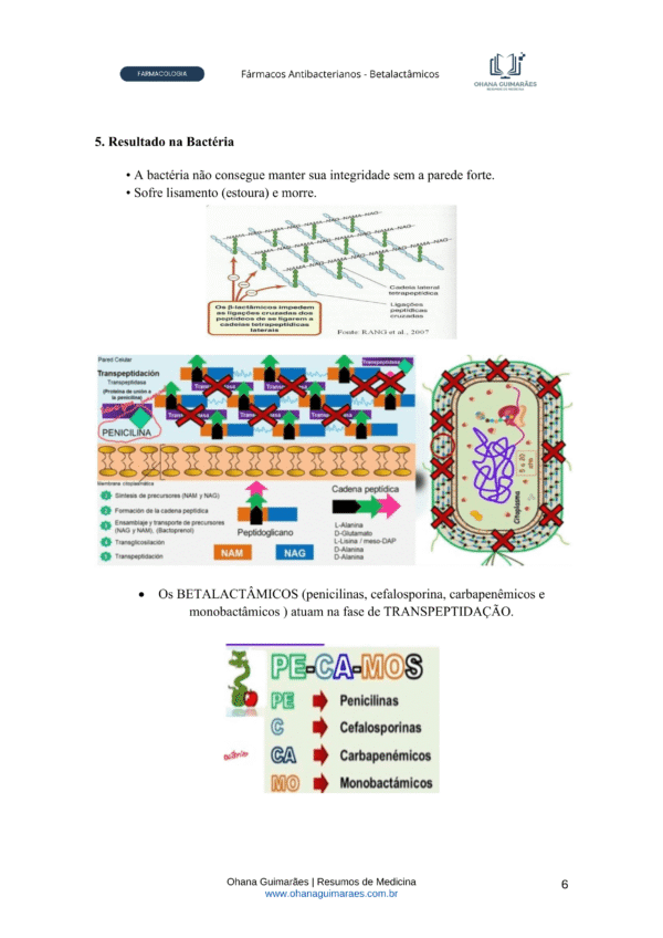 Farmacologia - Fármacos Antibacterianos P2 - Image 3