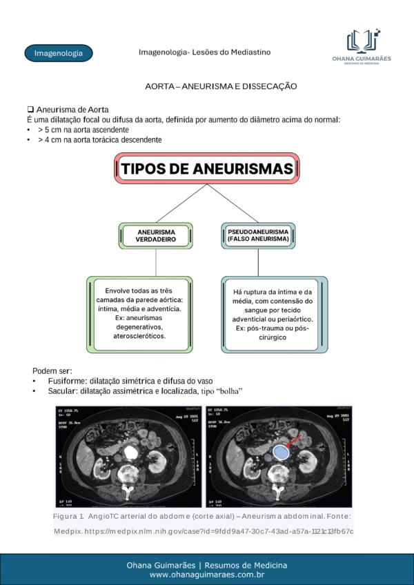 Imagenologia P2 - Image 3