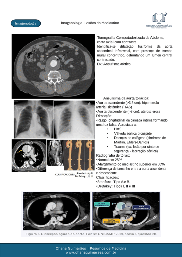 Imagenologia P2 - Image 4