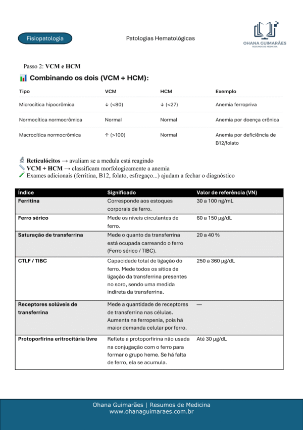 Fisiopatologia P2 - Image 3