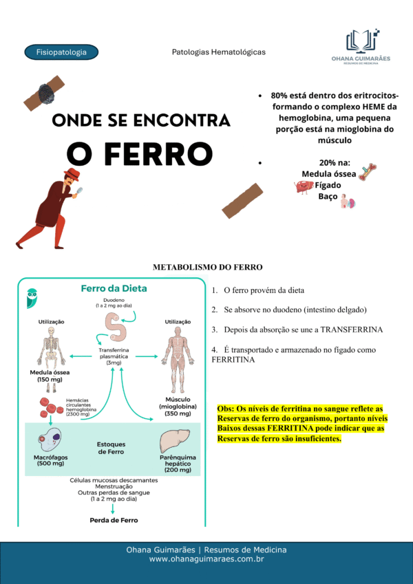 Fisiopatologia P2 - Image 2