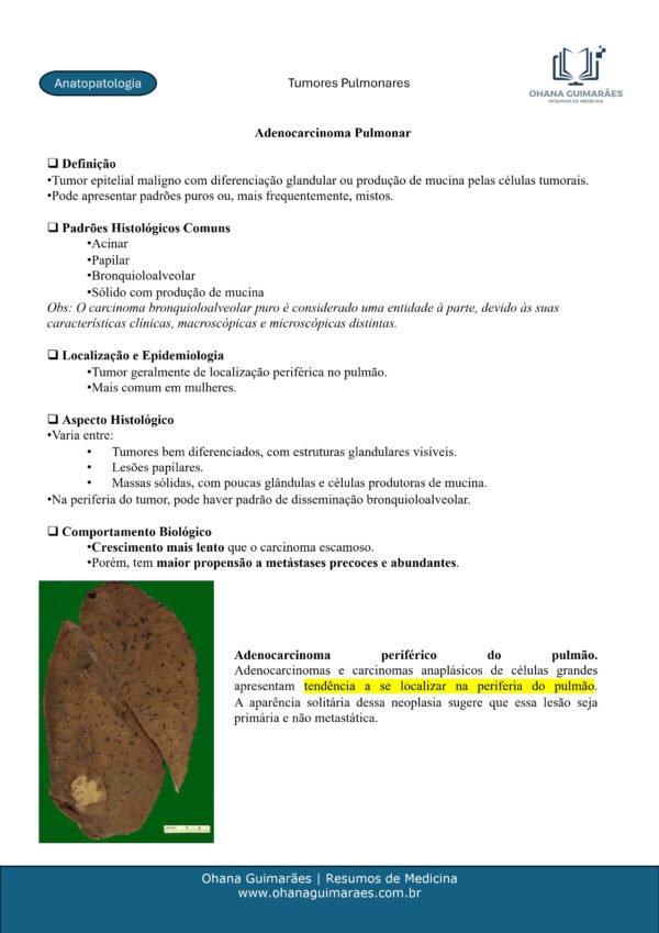 Anatopatologia P1 + P2 - Image 15