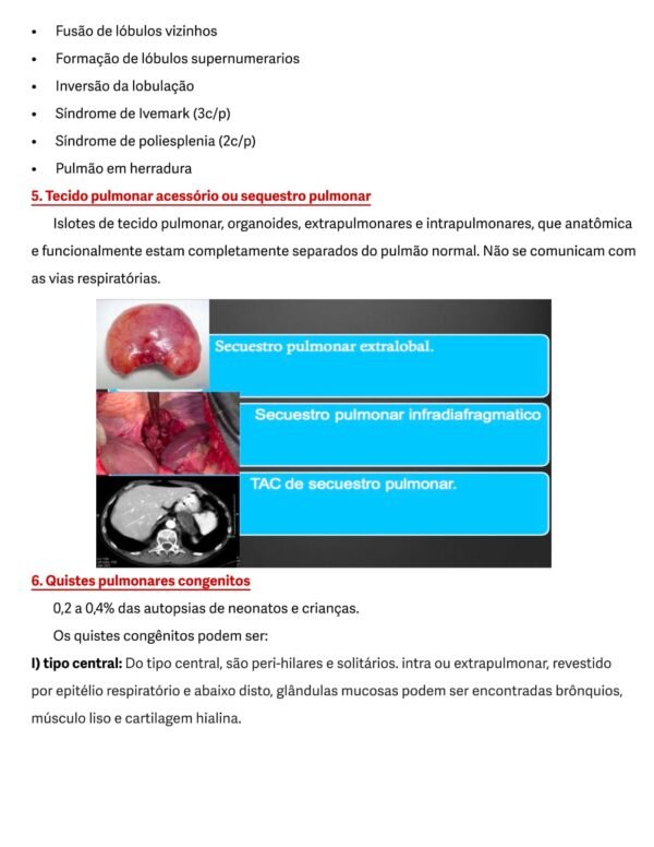 Anatopatologia P1 + P2 - Image 2