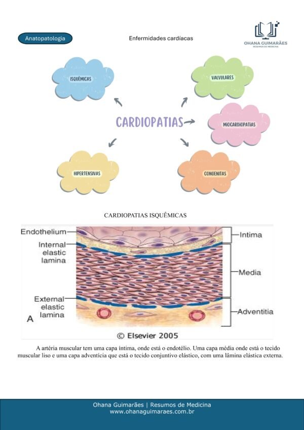 Anatopatologia P1 + P2 - Image 6
