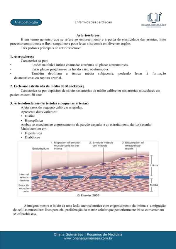 Anatopatologia P1 + P2 - Image 5
