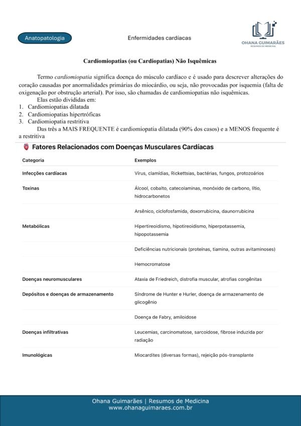 Anatopatologia P1 + P2 - Image 8