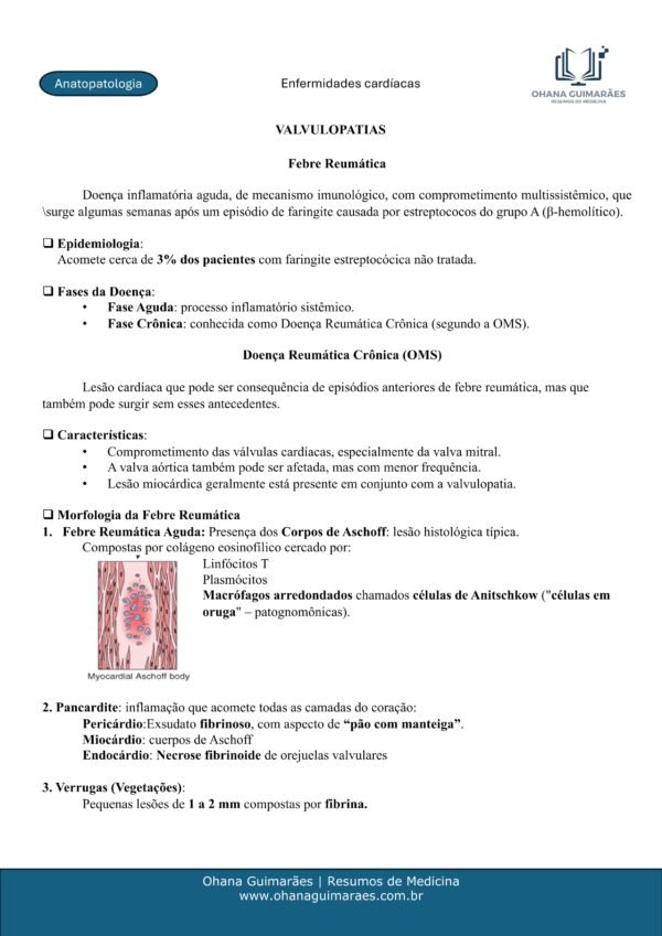 Anatopatologia P1 + P2 - Image 9