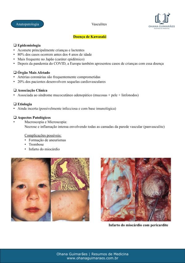 Anatopatologia P1 + P2 - Image 13